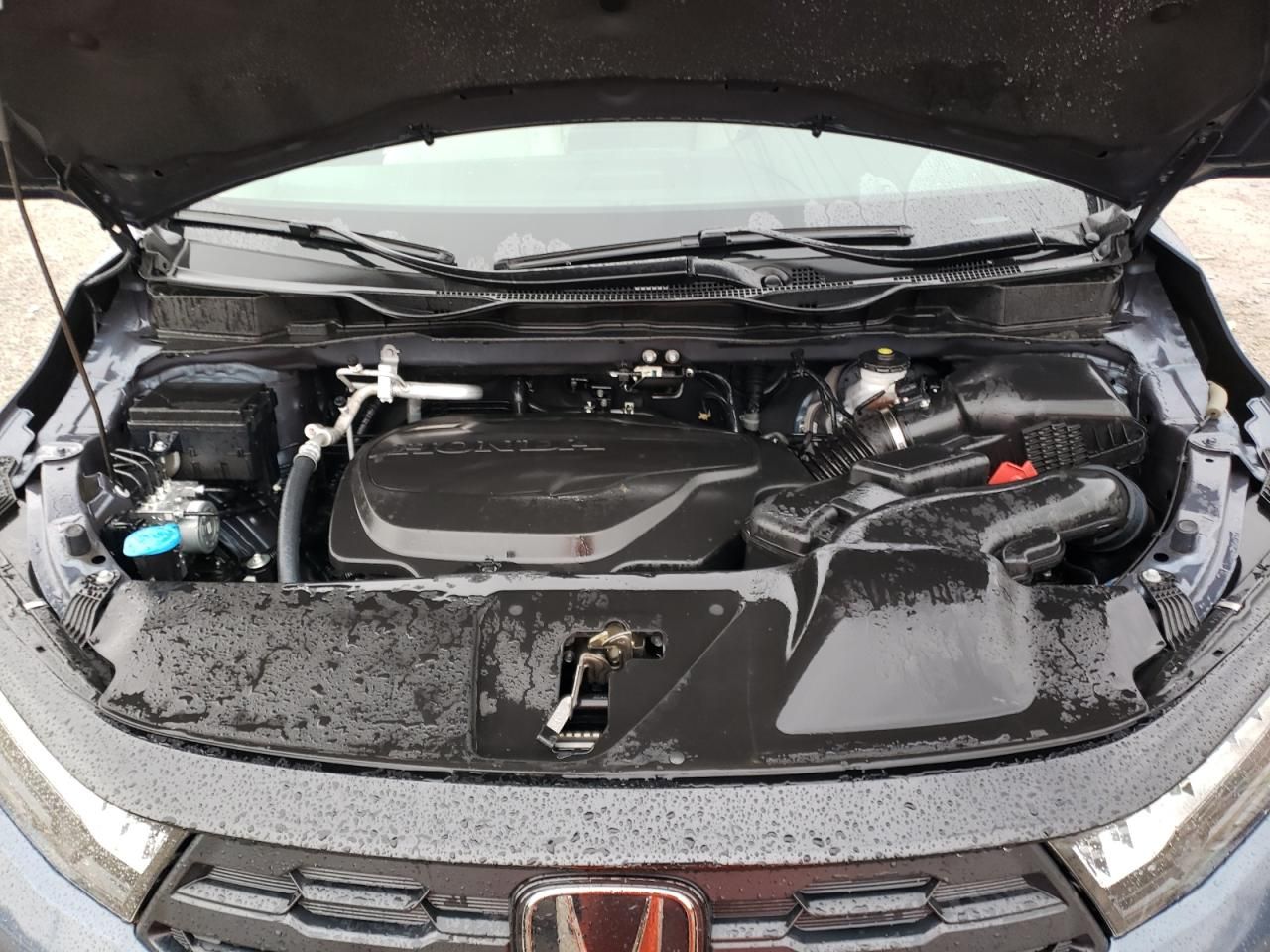 2025 Honda Odyssey exl