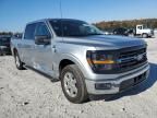 2024 Ford F150 xlt