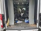 2024 Ford Transit 250 Utility / Service Van