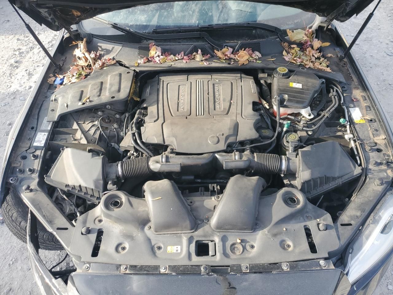 2014 Jaguar Xjl Portfolio