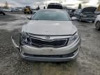 2013 KIA Optima Hybrid