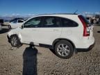 2007 Honda Cr-v exl