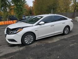 2016 Hyundai Sonata for sale in Portland, OR