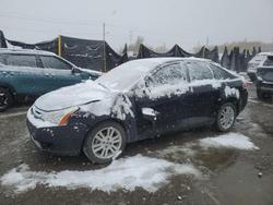 Ford Focus salvage cars for sale: 2010 Ford Focus