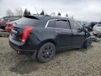2013 Cadillac Srx Luxury Collection