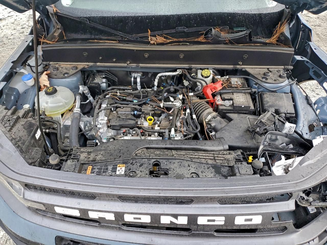 2024 Ford Bronco Sport big Bend