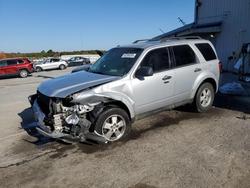 Ford salvage cars for sale: 2012 Ford Escape xlt