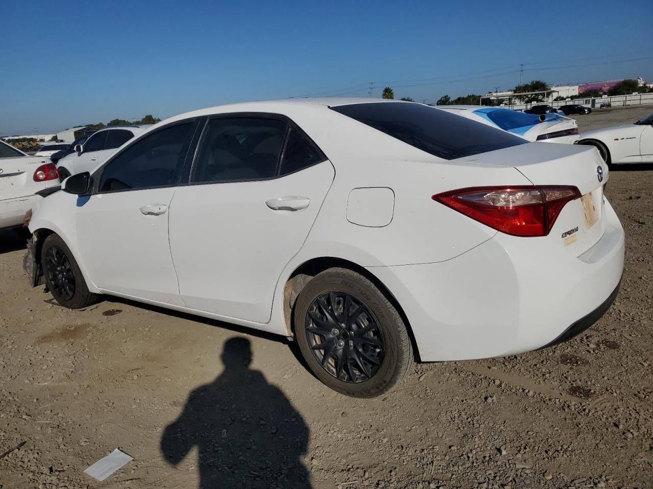 2019 Toyota Corolla l