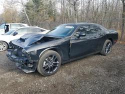 Dodge Challenger salvage cars for sale: 2023 Dodge Challenger gt