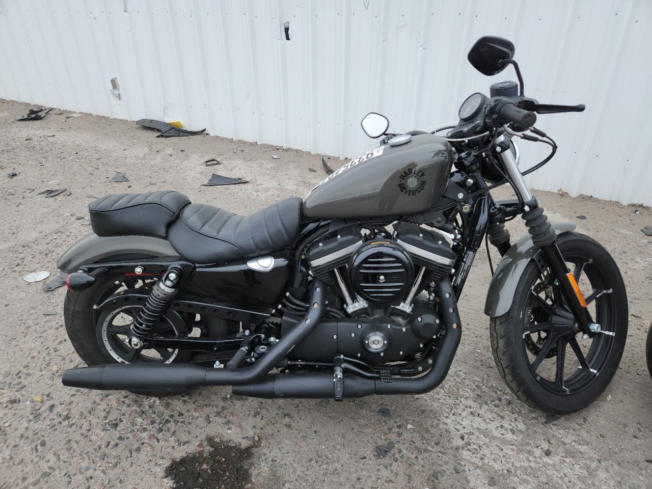 2019 Harley-Davidson XL883 N
