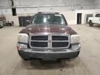 2005 Dodge Dakota slt