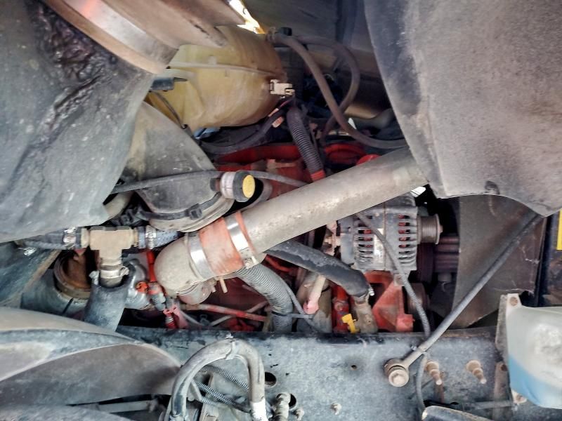 2016 Blue Bird School bus / Transit bus