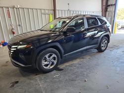 Hyundai salvage cars for sale: 2024 Hyundai Tucson sel
