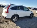 2007 Honda Cr-v exl