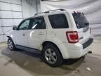 2009 Ford Escape Limited