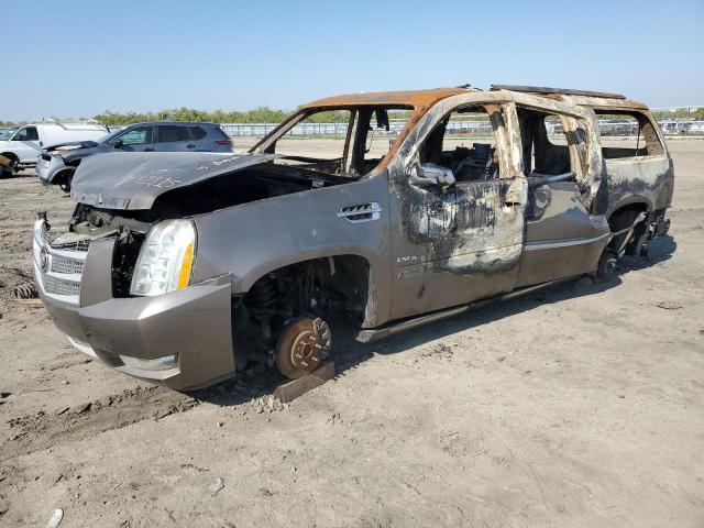 2013 Cadillac Escalade esv Platinum