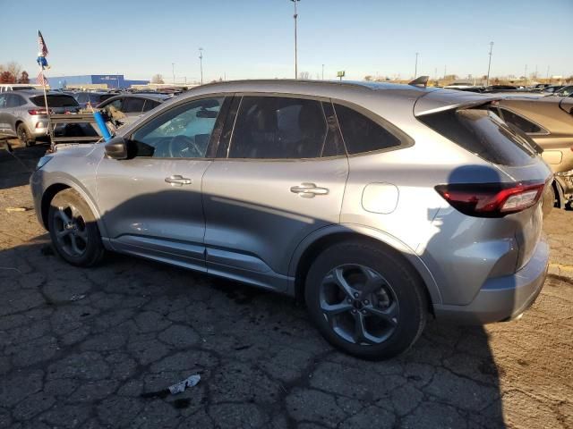 2024 Ford Escape st Line