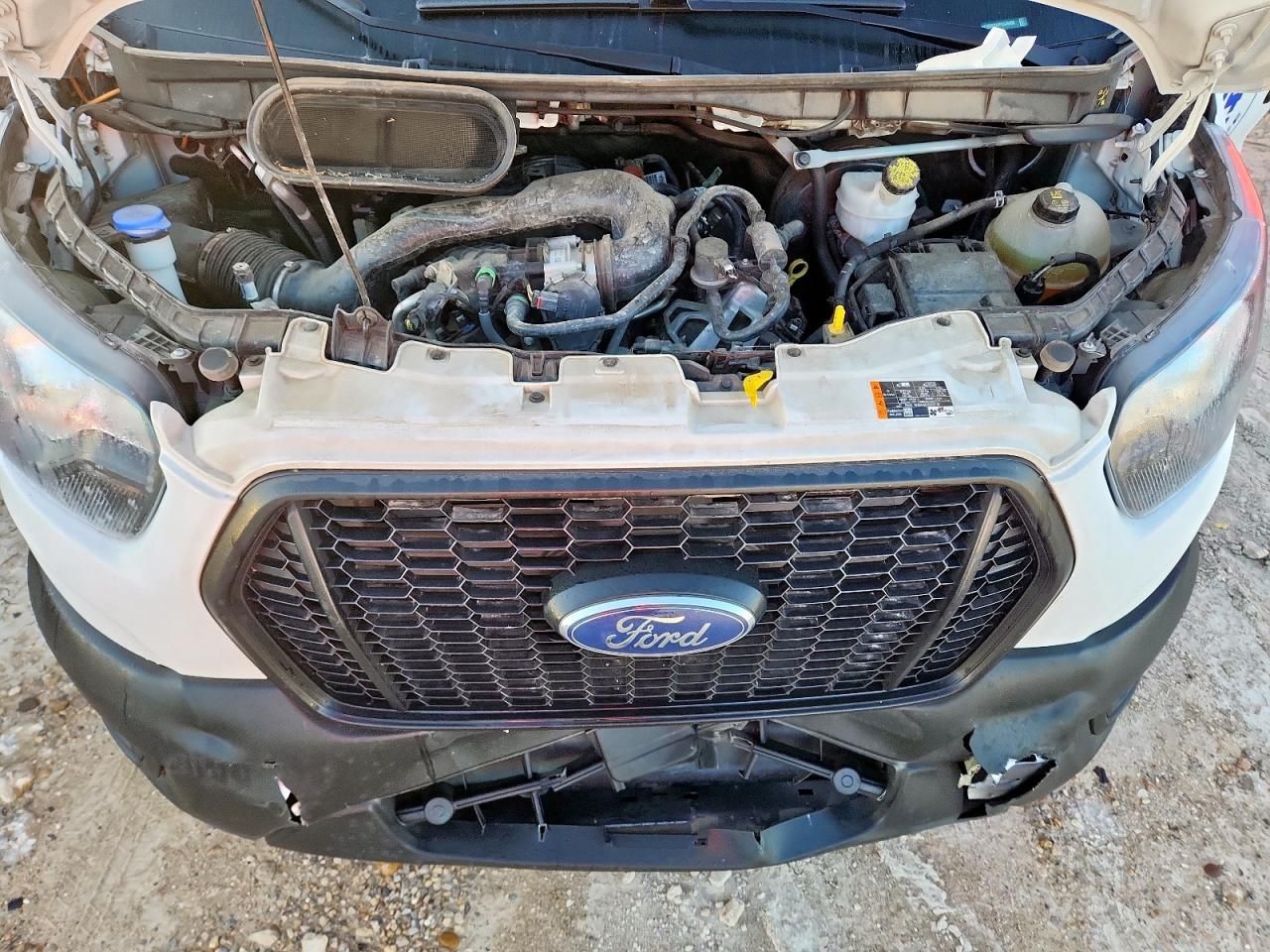 2023 Ford Transit 250 Delivery Van