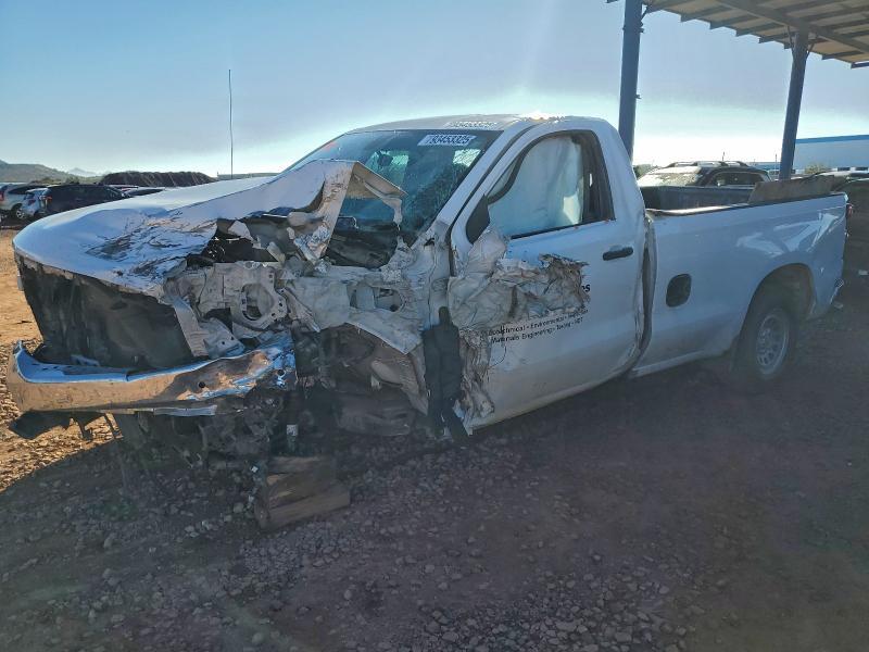 2019 Chevrolet Silverado C1500