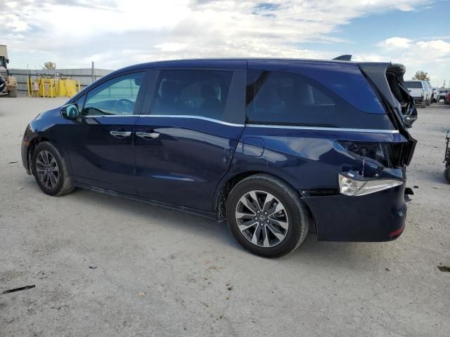 2024 Honda Odyssey exl