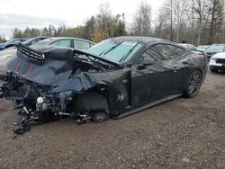 2025 Ford Mustang gt en venta en Cookstown, ON