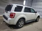 2009 Ford Escape Limited