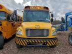 2014 Thomabuses 2014 Freightliner B2 School Bus