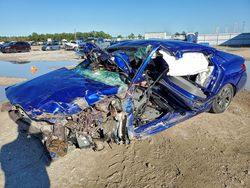 Salvage cars for sale from Copart Houston, TX: 2024 Hyundai Elantra sel