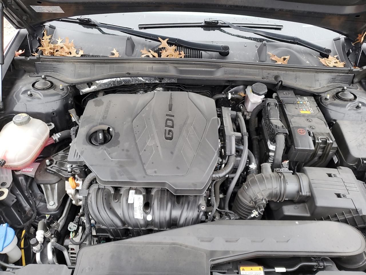 2023 Hyundai Sonata sel