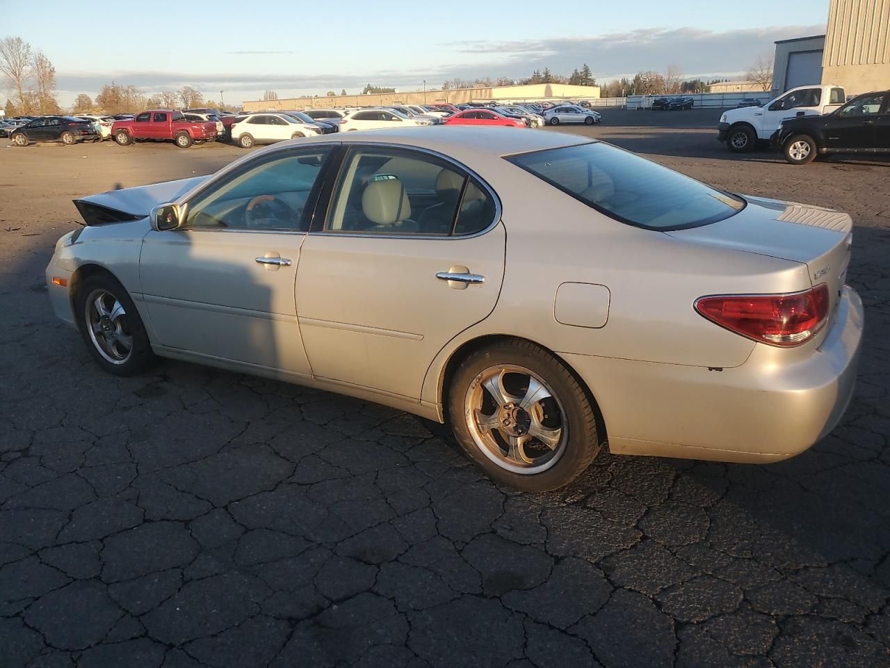 2005 Lexus Es 330