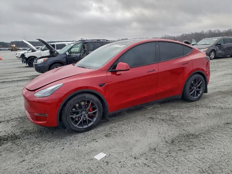 2021 Tesla Model y