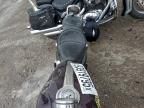 2006 Harley-Davidson XL1200 C