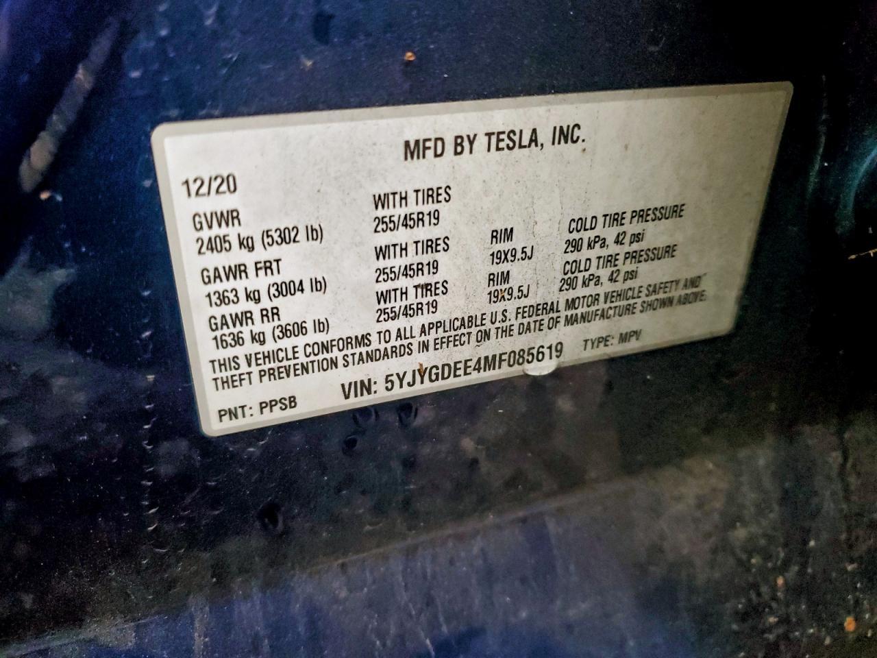 2021 Tesla Model y