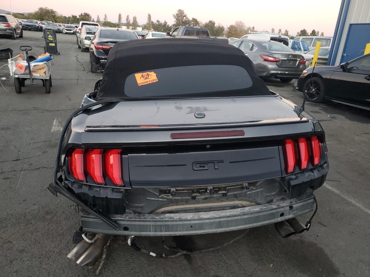 2019 Ford Mustang gt