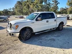 Ford salvage cars for sale: 2013 Ford F150 Supercrew
