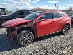 2023 Lexus Ux 250h Base for sale in Hillsborough, NJ