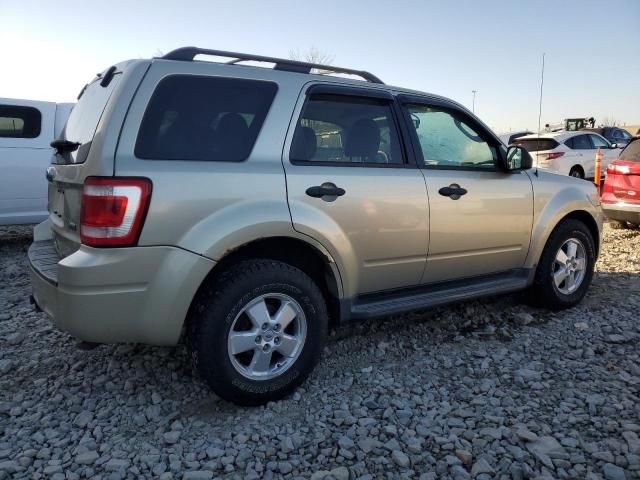 2010 Ford Escape xlt