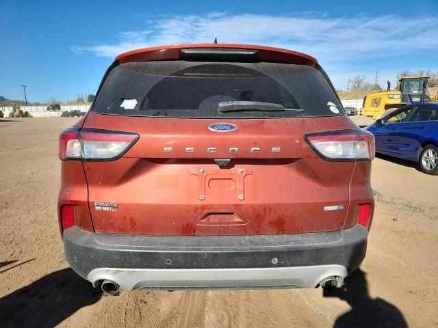 2020 Ford Escape sel
