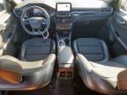 2023 Ford Escape st Line
