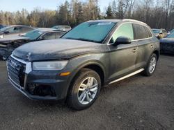 Salvage cars for sale from Copart Cookstown, ON: 2019 Audi Q5 Premium