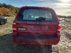 2011 Ford Escape xls