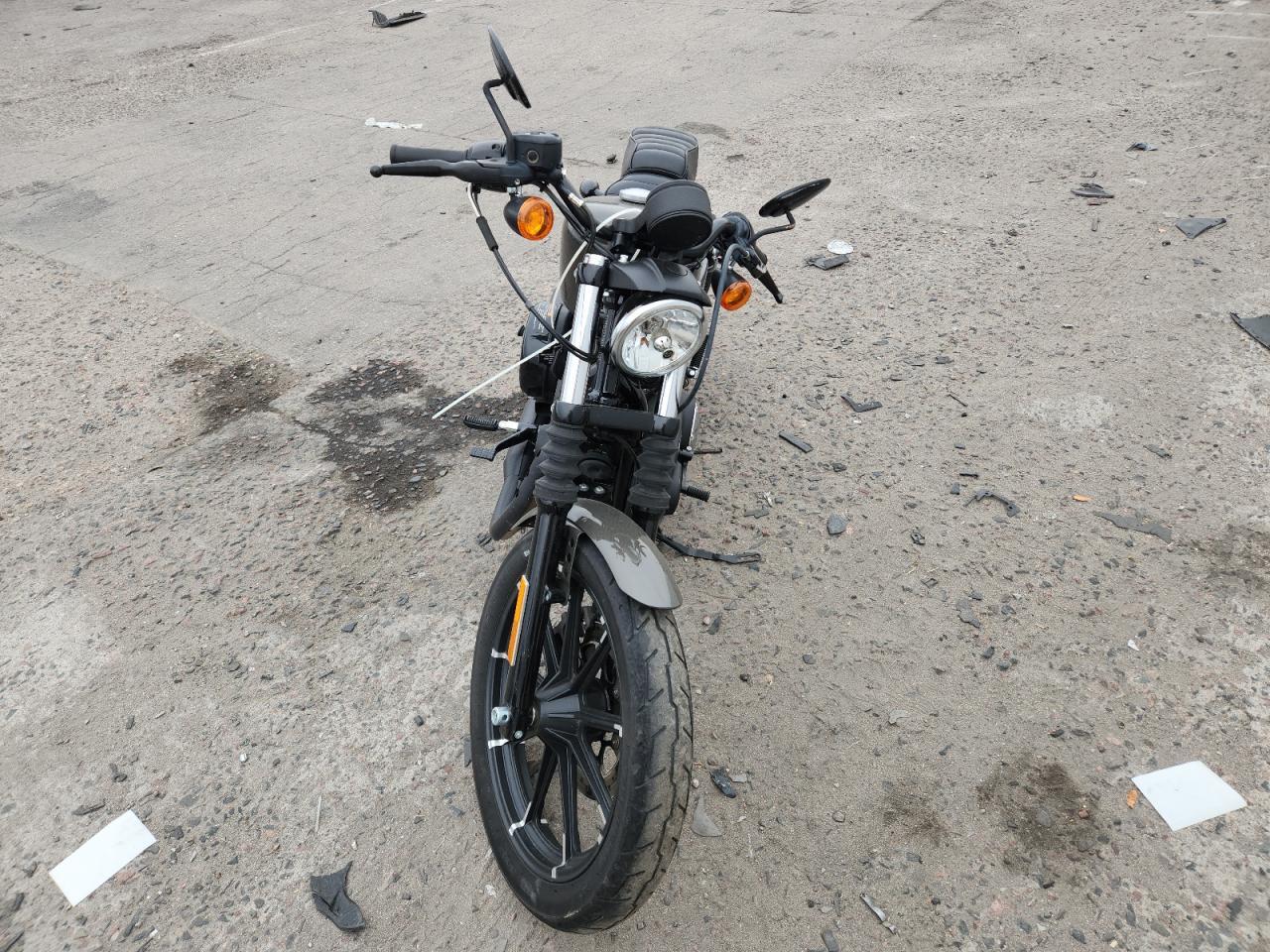 2019 Harley-Davidson XL883 N