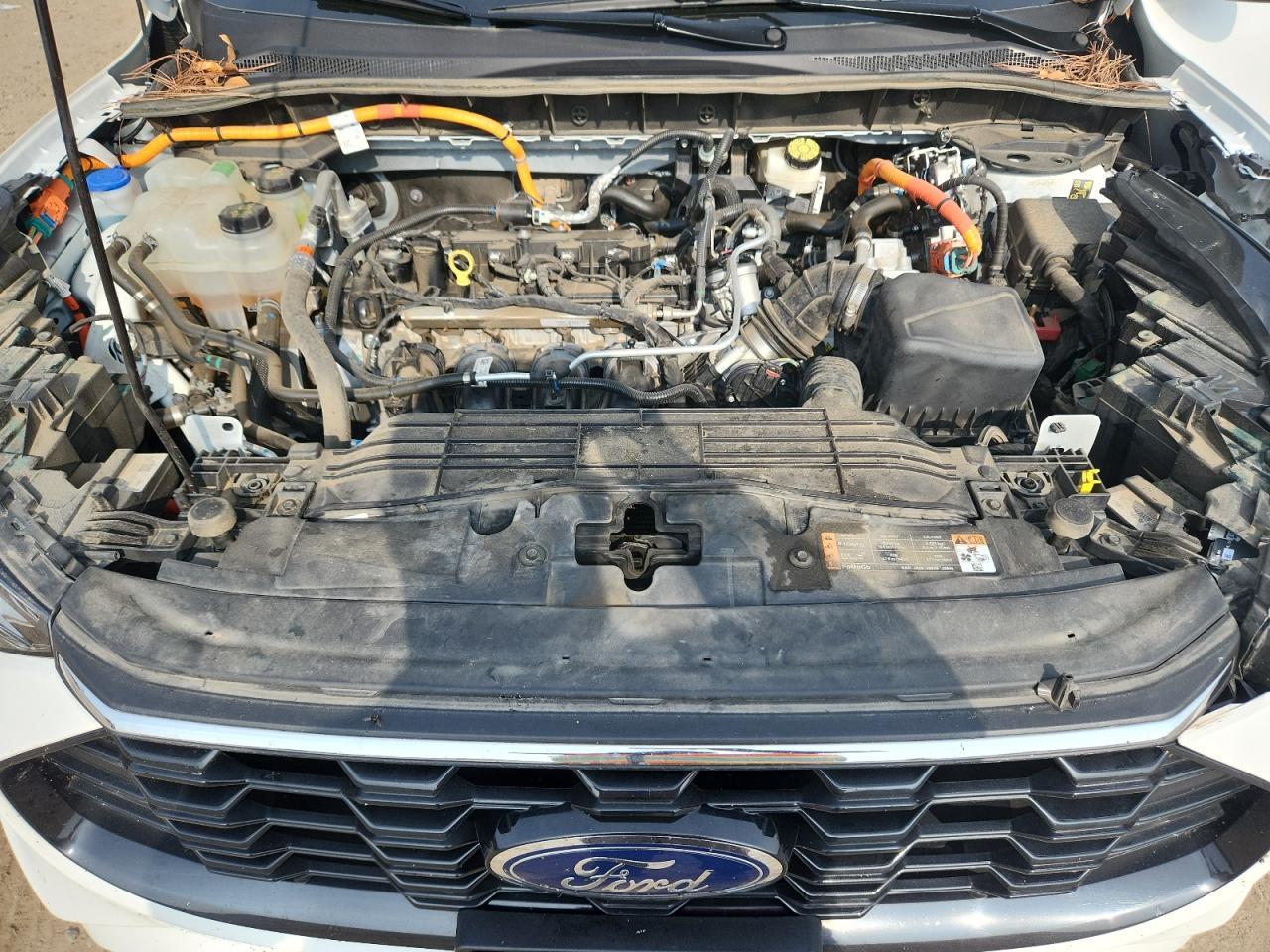 2024 Ford Escape st Line