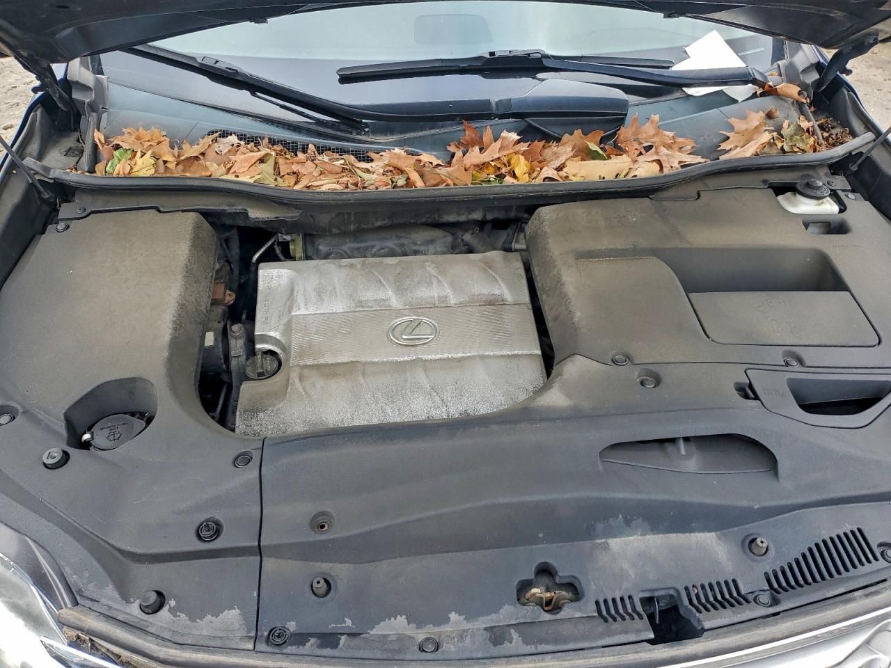 2013 Lexus Rx 350 Base