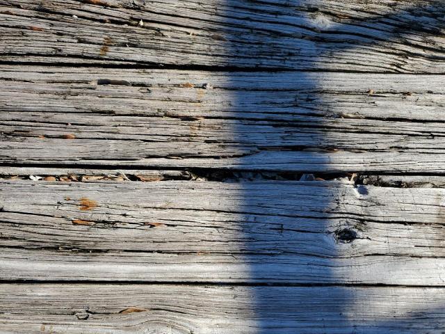 2020 Homemade 2020 Utility Trailer