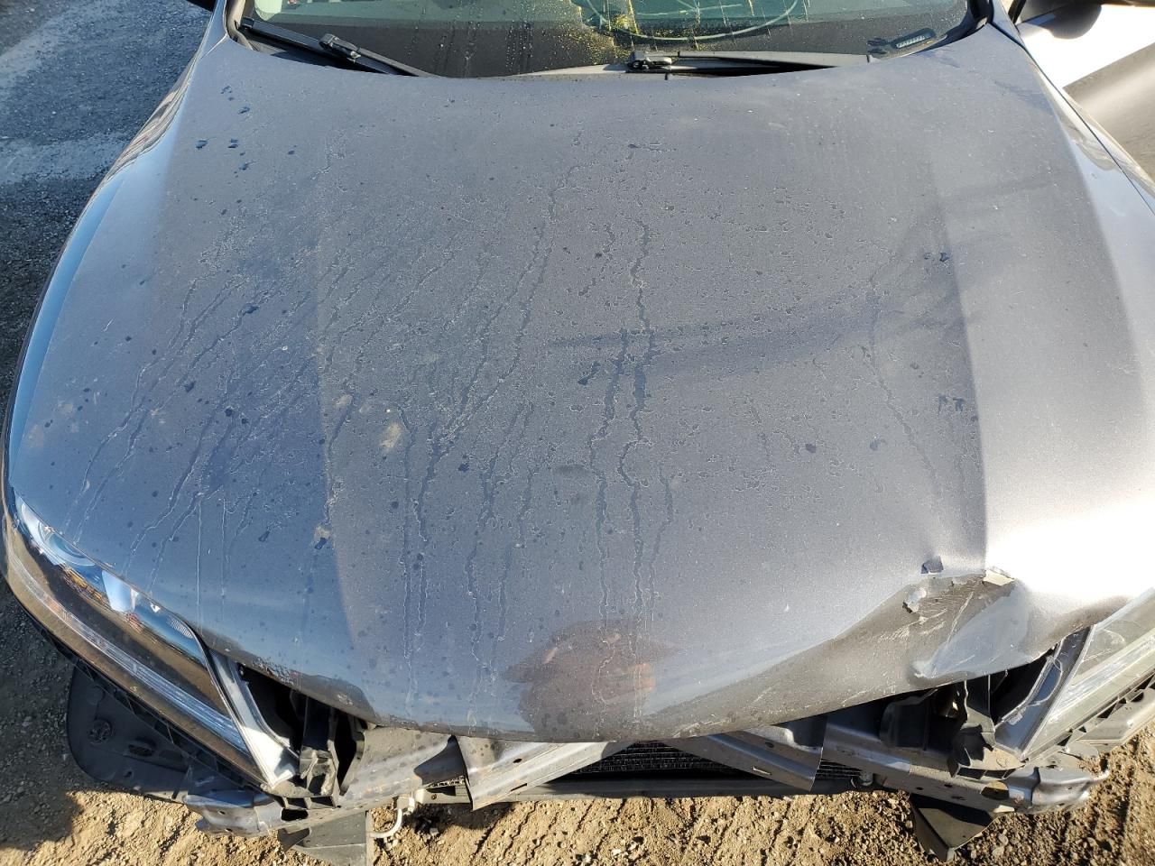 2013 Honda Accord Lx-s