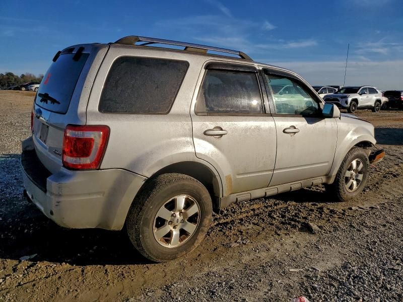 2009 Ford Escape Limited