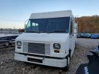 2013 Ford F59 Delivery Truck