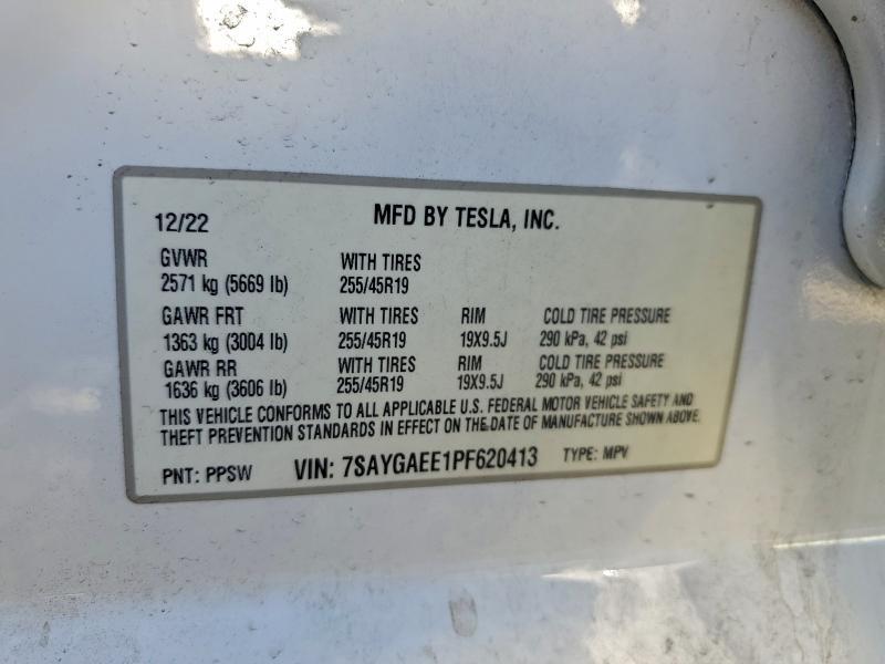 2023 Tesla Model y