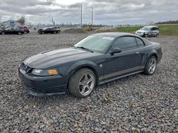 Ford salvage cars for sale: 2004 Ford Mustang